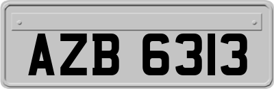 AZB6313