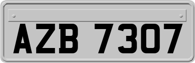 AZB7307