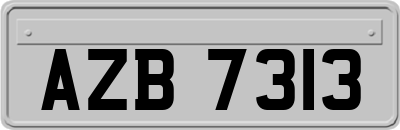AZB7313