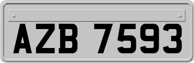 AZB7593