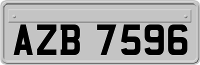 AZB7596