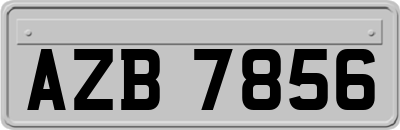 AZB7856