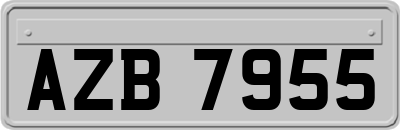 AZB7955