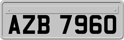 AZB7960