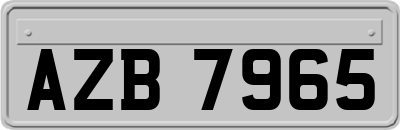 AZB7965