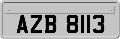 AZB8113