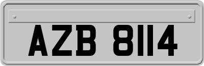 AZB8114