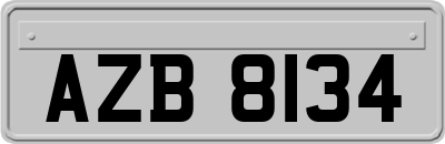 AZB8134