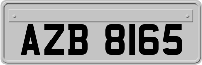 AZB8165