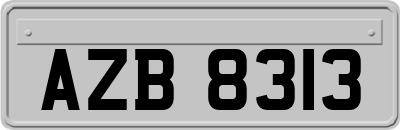 AZB8313