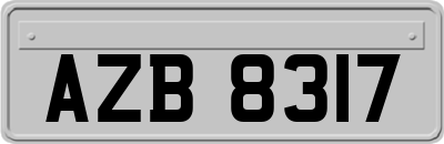 AZB8317