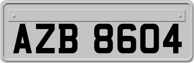 AZB8604
