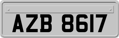 AZB8617