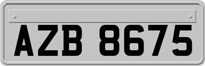 AZB8675