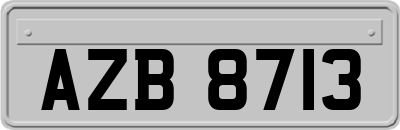 AZB8713