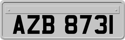AZB8731