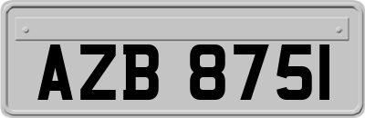 AZB8751