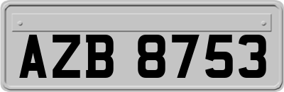 AZB8753