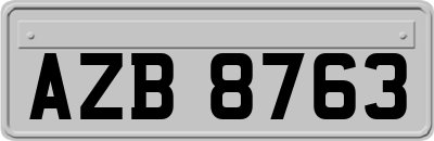 AZB8763