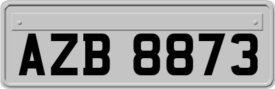 AZB8873