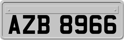 AZB8966
