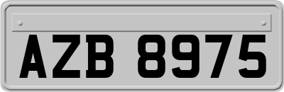 AZB8975