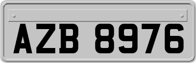 AZB8976