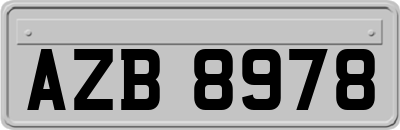 AZB8978