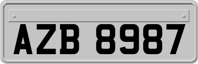 AZB8987