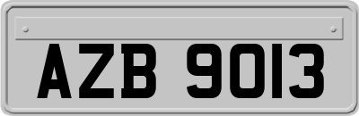 AZB9013