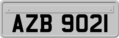 AZB9021