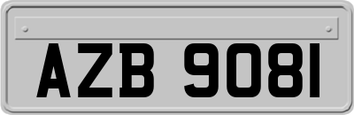 AZB9081