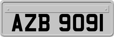 AZB9091