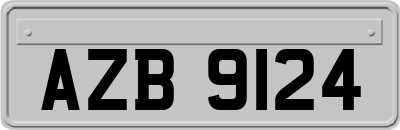 AZB9124