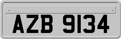 AZB9134