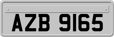 AZB9165