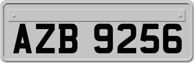 AZB9256