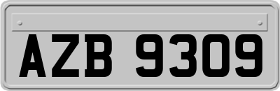 AZB9309