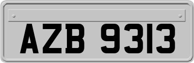 AZB9313