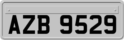 AZB9529