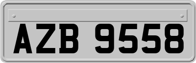 AZB9558