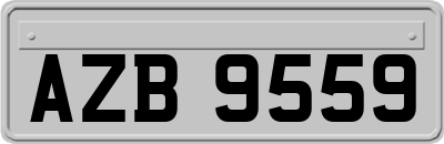 AZB9559