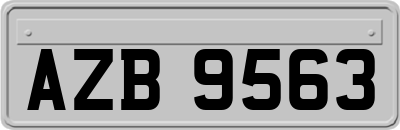 AZB9563