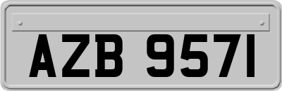 AZB9571