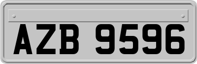 AZB9596