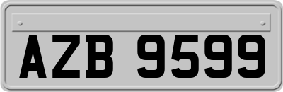AZB9599