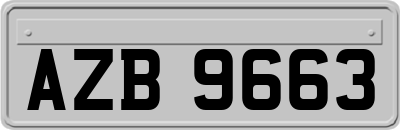 AZB9663
