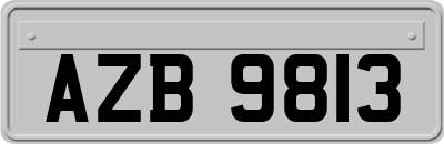AZB9813