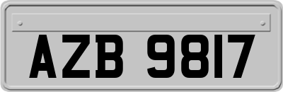 AZB9817
