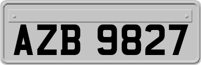 AZB9827